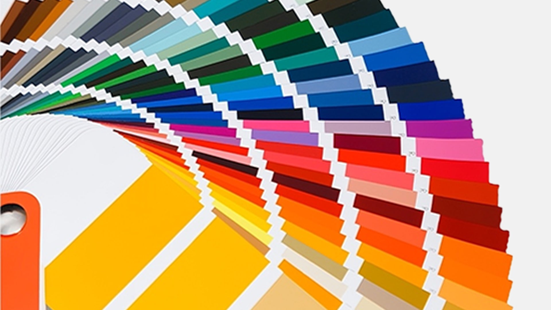 Custom Colors